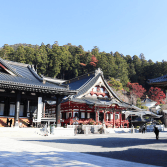 詳細ページダミー画像