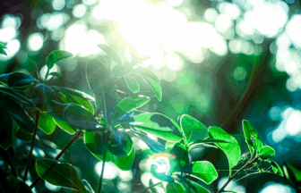 詳細ページダミー画像