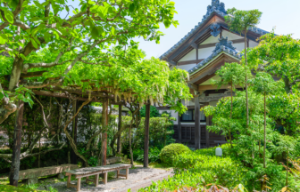 詳細ページダミー画像