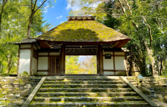 詳細ページダミー画像