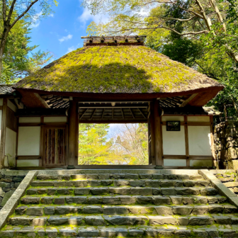 詳細ページダミー画像